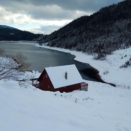 Rajski Pogled Villa Zaovine Dış mekan fotoğraf