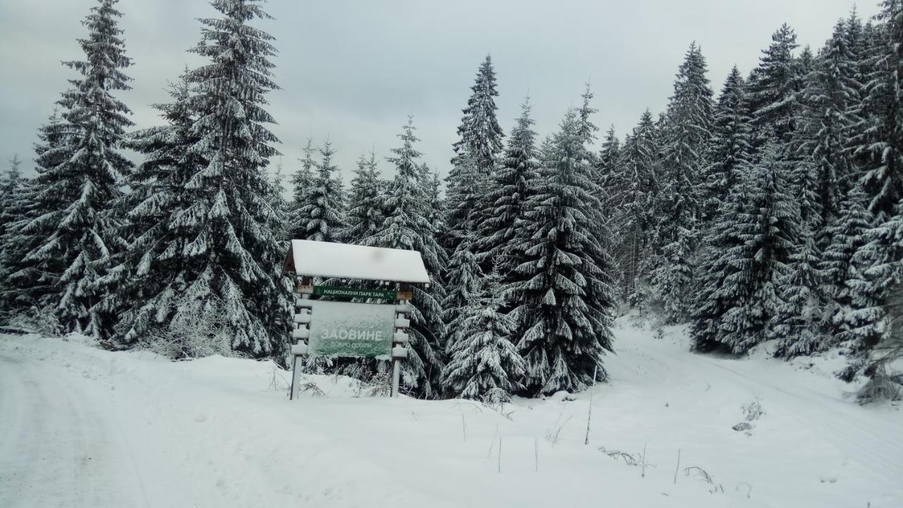 Rajski Pogled Villa Zaovine Dış mekan fotoğraf