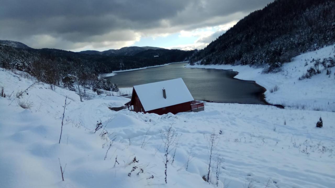 Rajski Pogled Villa Zaovine Dış mekan fotoğraf